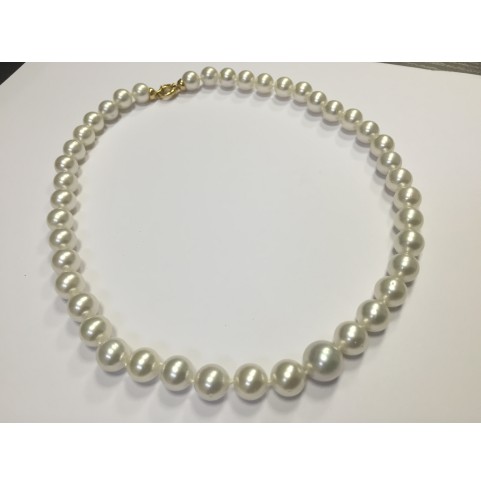 Collier Perles De Coquillage Mer Du Sud Marron 8mm - Longueur 18 Pouces, Neuf Avec Sac Cadeau